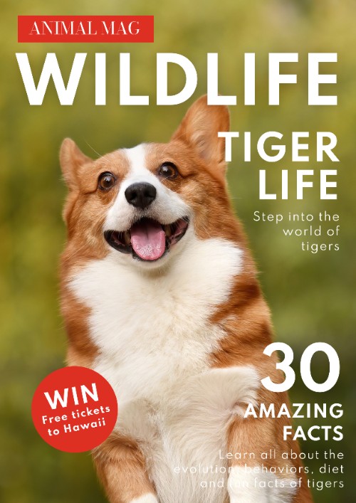 Wildlife