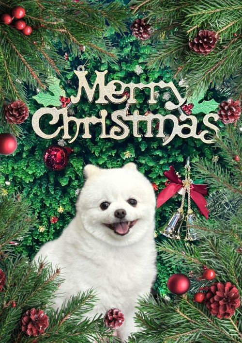 X-mas Frame